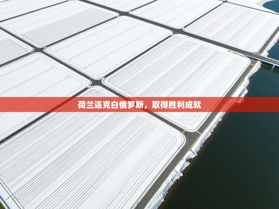 爱游戏娱乐网址-荷兰连克白俄罗斯,取得胜利成就 第4张