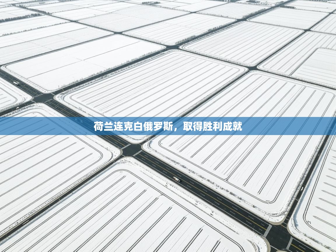 爱游戏娱乐网址-荷兰连克白俄罗斯,取得胜利成就 第3张