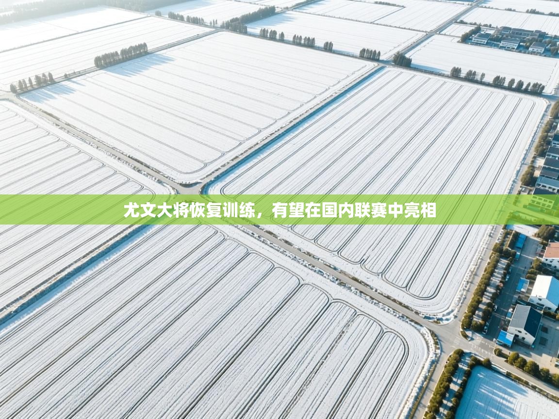 爱游戏体育全站入口-尤文大将恢复训练，有望在国内联赛中亮相  第1张