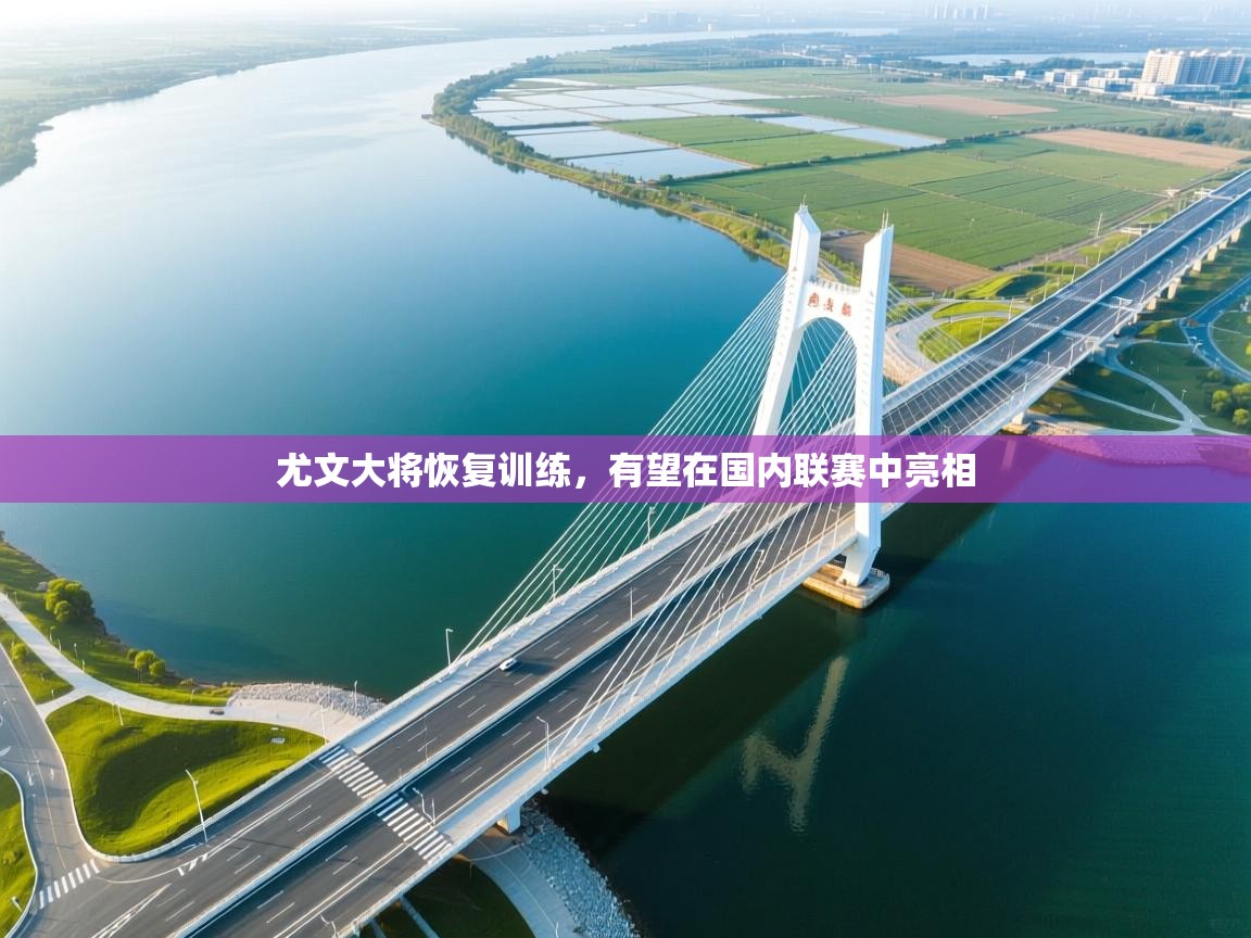 爱游戏体育全站入口-尤文大将恢复训练，有望在国内联赛中亮相  第4张